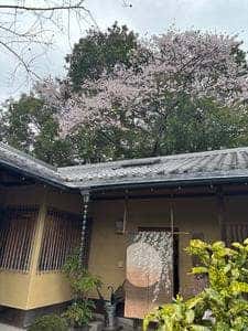 ゆばカフェ 紫水庵