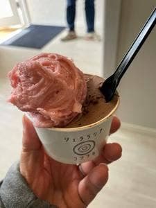 gelateria connaca