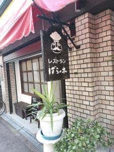 薔薇の木
