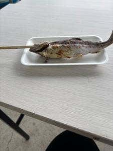 かずら橋夢舞台