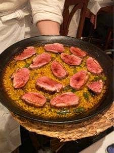 アロセリア ラ パンサ