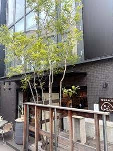 B Cafe & Lab