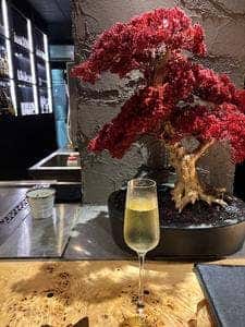 鉄板焼grow立川店