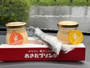 みちのく懐かしの味 あきたプリン亭