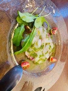 CAFE TAKE ROOT