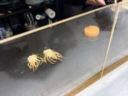 創作寿司 非常識