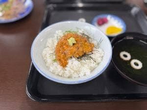 うにめし食堂 はらほげ