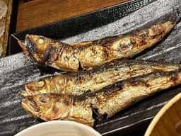 しんぱち食堂 新宿東南口店