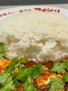 元祖麻婆カレー専門店 マボカリ 新宿西口店