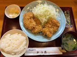 とんかつ かつ精