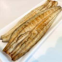 白藤養魚