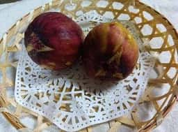 駅前マルシェ 道の駅 みやま公園