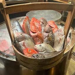 なきざかな 新宿店