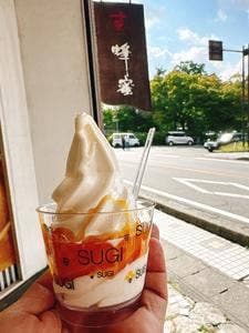 杉養蜂園 富士河口湖店