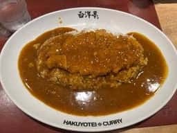 旨辛カレー専門店 白洋亭 ヨドバシAkiba