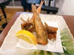 IZAKAYA BAR おためし屋