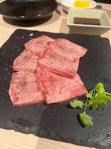 本日のおすすめ 交野店