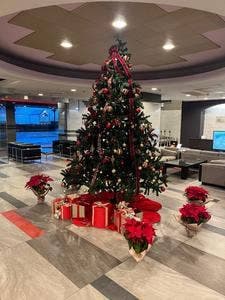 レストラン アヴァンツァーレ ホテル紅や