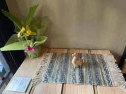 晦庵 河道屋
