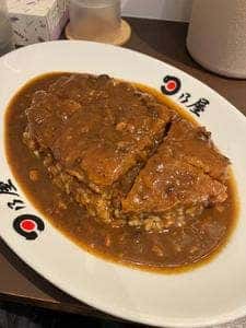 日乃屋カレー JR川崎タワー店