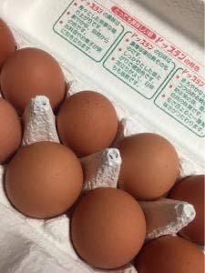 矢部養鶏場