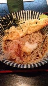 梅の木
