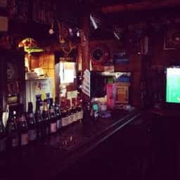 AMERICAN’S BAR PARTY ANIMALS
