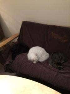 カフェきゃらふ