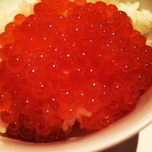さ蔵