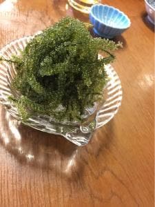沖縄厨房 めんそーれ