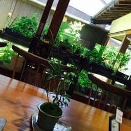四季 俵屋