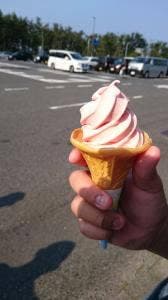 レストインだいば 道の駅大栄