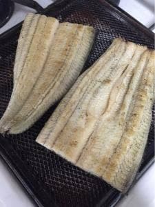白藤養魚