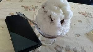 信ちゃんたいやき