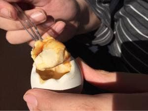 ロコマルシェ 新東名高速道路 NEOPASA駿河湾沼津下り