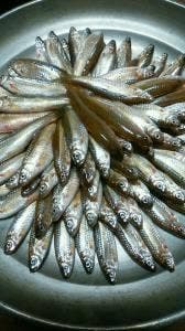 魚清楼