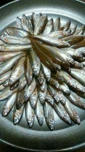 魚清楼